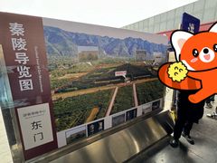 -秦始皇帝陵博物院-丽山园
