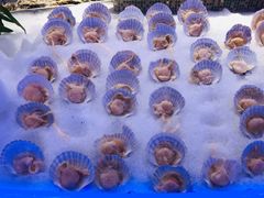 -澜悦港海鲜体验主题餐厅