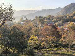 -塔川景区