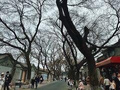 -北京国子监胡同