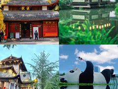-海合安成都极地海洋公园
