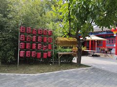 -中卫御苑福膳·养生局(圆明园店)