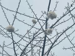 -兴华里茶记(禅城同济首店)
