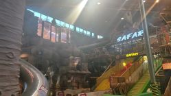 -卡通尼·Safari非洲探索乐园·生日会(金桥国际商业广场店)