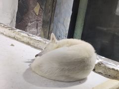 -大连圣亚海洋世界