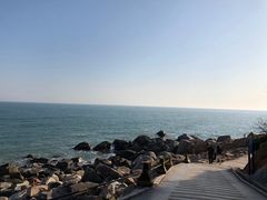-广东惠东海龟国家级自然保护区