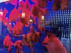 -宫七SPA·高端Massage(浦东大道店)