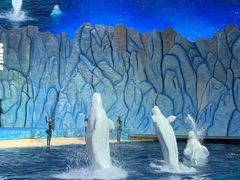 -珠海长隆海洋王国