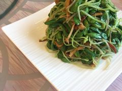 -上海安亭别墅花园酒店