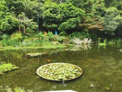 -杭州少年儿童公园