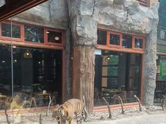 -上海野生动物园老虎餐厅