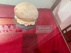 -武汉达临性学生命文化博物馆