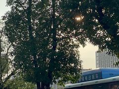 -光明小镇欢乐田园