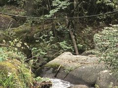 -大围山国家森林公园