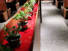 -山之屋炭火烧肉·生啤畅饮(大朗万科中央公园店)