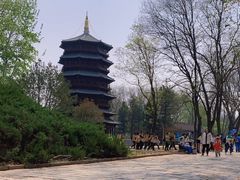 -北京世界公园