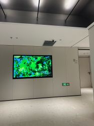 -上海时光整形外科医院