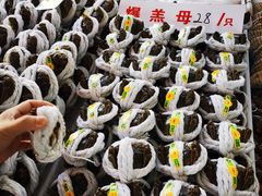 -南沙十九涌渔人码头-南门