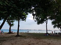 -东海岸人工湖美食村