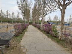 -北京群众马术培训基地