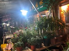 -曲阳花鸟市场(曲阳路店)