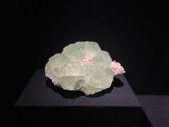 -山东博物馆