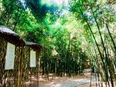 -同里国家湿地公园