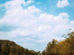 -乌兰布统草原