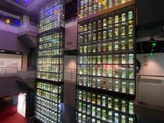 -广东中医药博物馆