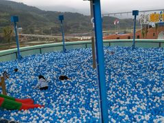 -瓷天下海丝谷