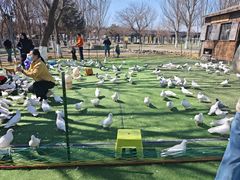 -长白岛森林公园