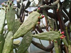 -华南国家植物园-售票处