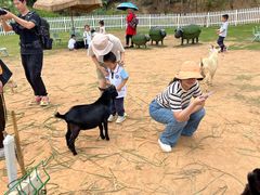 -青青世界