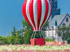 -盐城丹顶鹤湿地生态旅游区