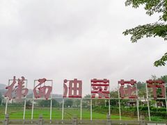 -红山村
