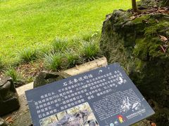 -海口火山口国家地质公园