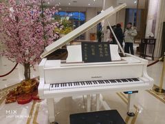 -苏州观园琉苏酒店-168西餐厅