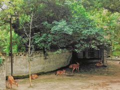 -台州府城(江南长城)