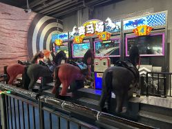 -嗨翻Hi-Fun竞技主题乐园·蹦床团建生日聚会(五棵松华熙店)