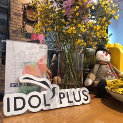 -IDOL-PLUS