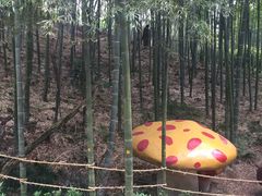 -天目湖山水园
