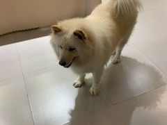 -肆兮眼镜·蔡司·徕卡战略合作店(大坪店)