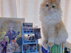 -动物缘宠物医院·骨科·猫科(西二环店)