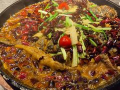 -老板恋上鱼(恒隆广场店)