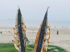 -朱家尖南沙景点
