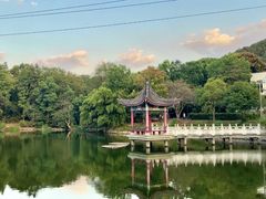 -青龙山国家森林公园