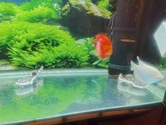 -汤泉良子.足疗按摩.SPA(中关村店)