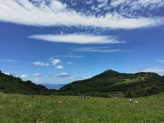 -白草畔自然风景区