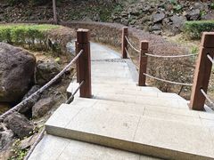 -罗浮山嘉宝田森林温泉度假酒店