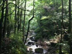 -牛背梁国家森林公园